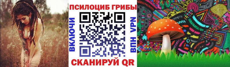 наркота  Сибай  Псилоцибиновые грибы мухоморы 