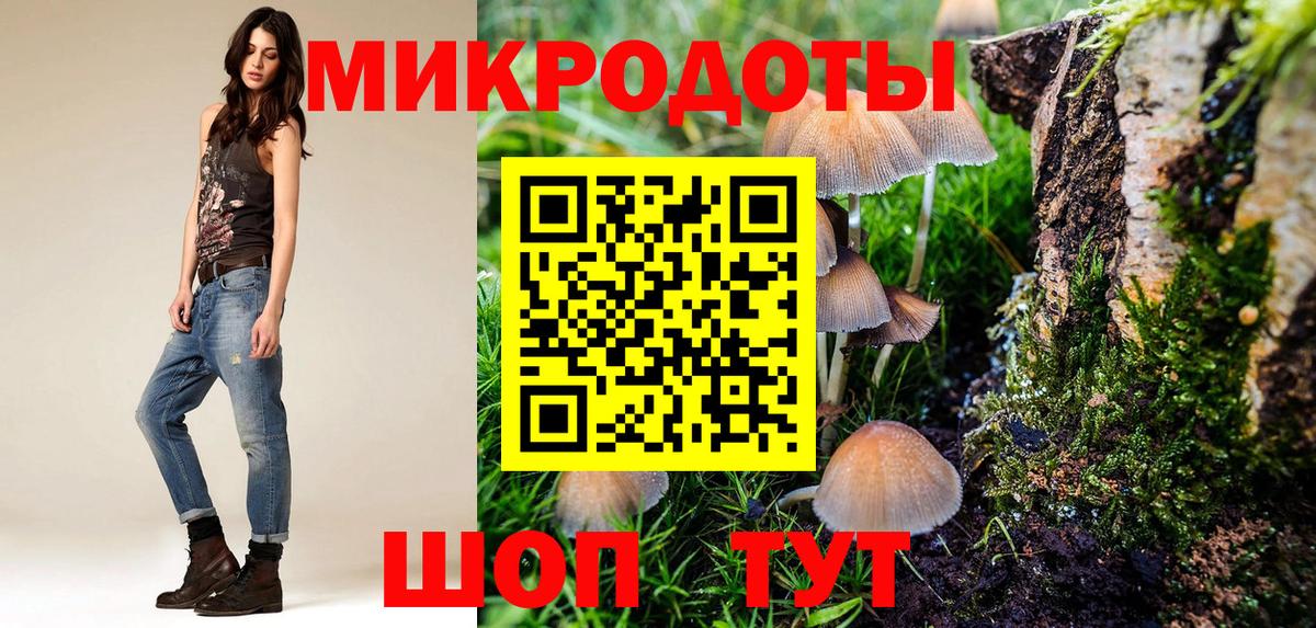Сибай  Псилоцибиновые грибы Cubensis  Вход с VPN 