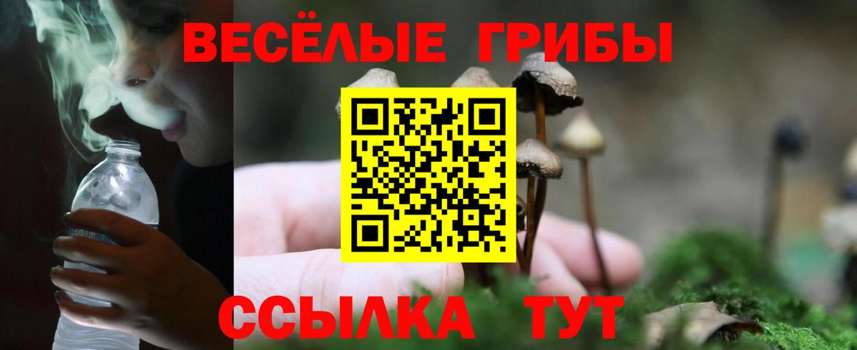 Галлюциногенные грибы Magic Shrooms  как найти наркотики  Сибай 